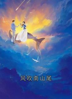 程诺叶驰是哪本小说主角 风吹南山尾免费全章节阅读-随缘阅读网