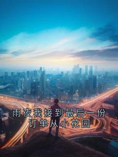 独家雨夜我接到最后一份订单从小花园小说-主角墨默陆雨馨全文免费阅读-随缘阅读网