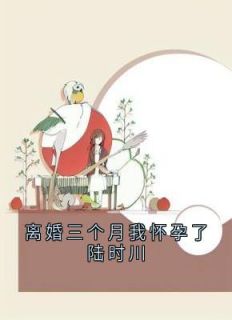 离婚三个月我怀孕了陆时川梁锦岁陆时川小说全文章节阅读